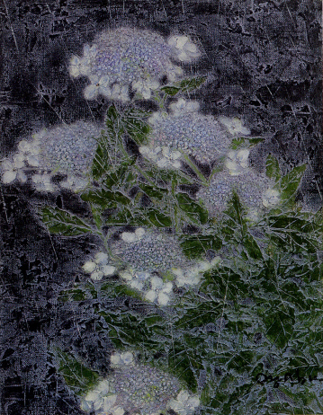 大藪雅孝「萼紫陽花」