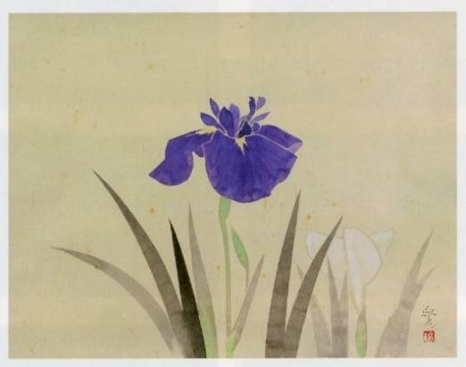 安田靫彦「菖蒲」