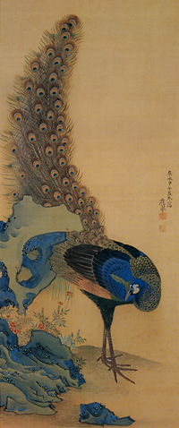円山応挙「孔雀図」