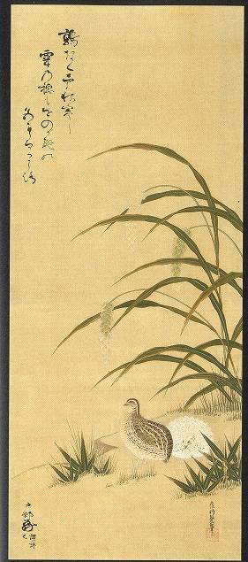 土佐光起「鶉之図(画賛)」