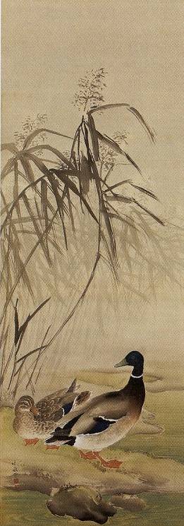 荒木十畝「芦汀雙鴨図」
