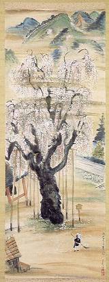 小川千甕「洛西花の寺 西行桜」